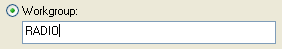 2. Workgroup Name Field