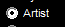 13. Artist option