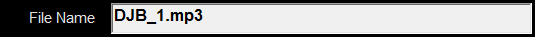 17. File Name