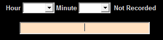 1. Time Selector
