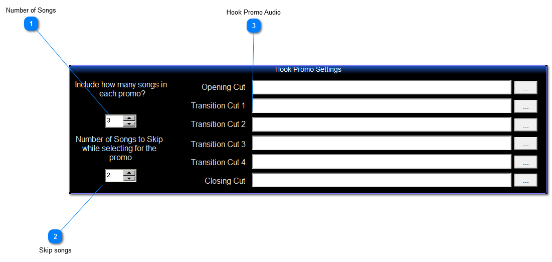 Hook Promo Settings