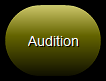 30. Audition